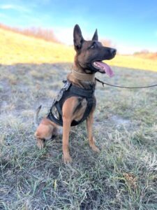 k9 nyx